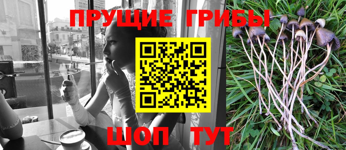 Амурск  Галлюциногенные грибы Magic Shrooms  Вход с VPN  Галлюциногенные грибы мухоморы 
